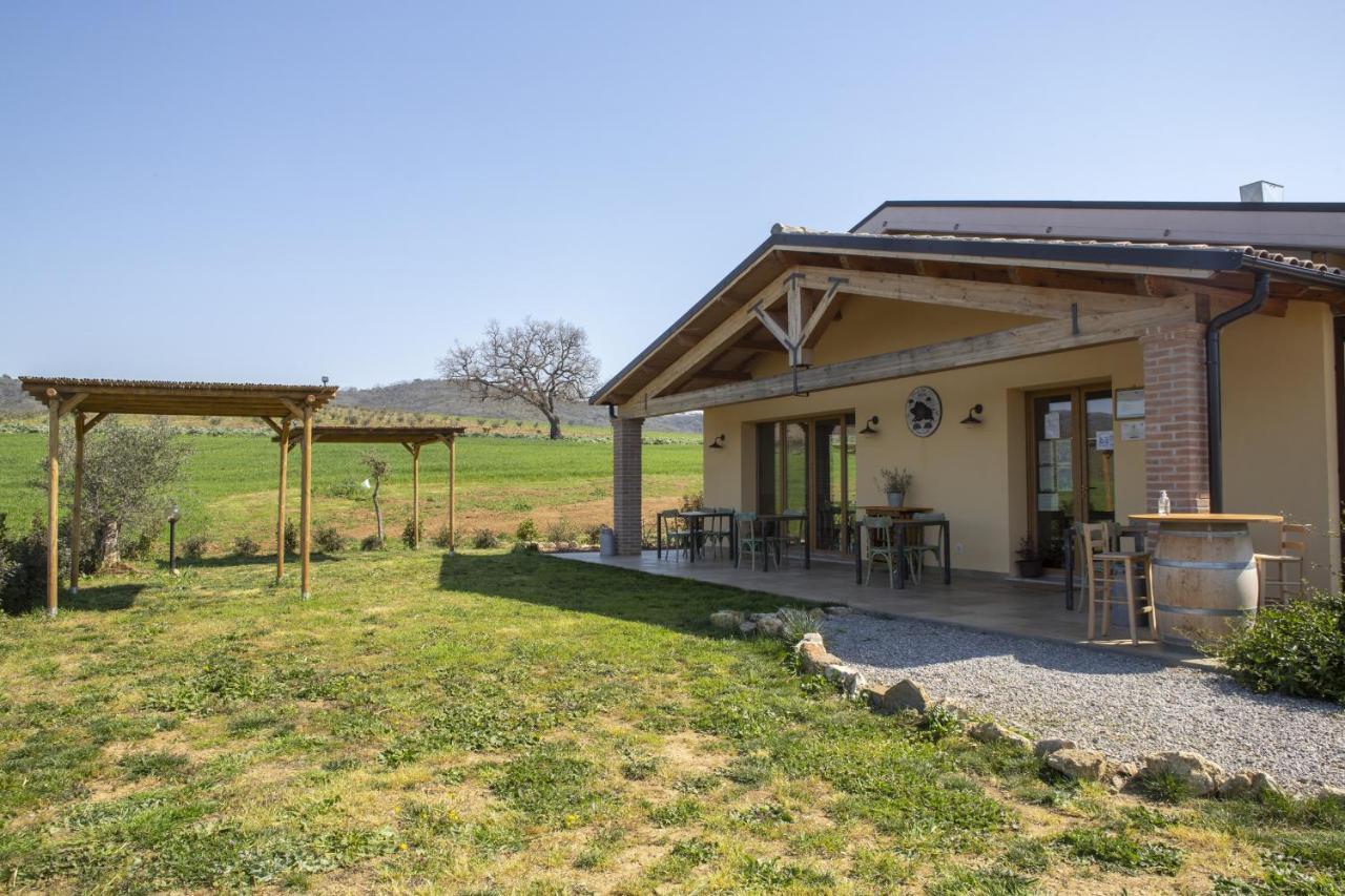 Agriturismo Casa Ricci Magliano in Toscana Exterior foto